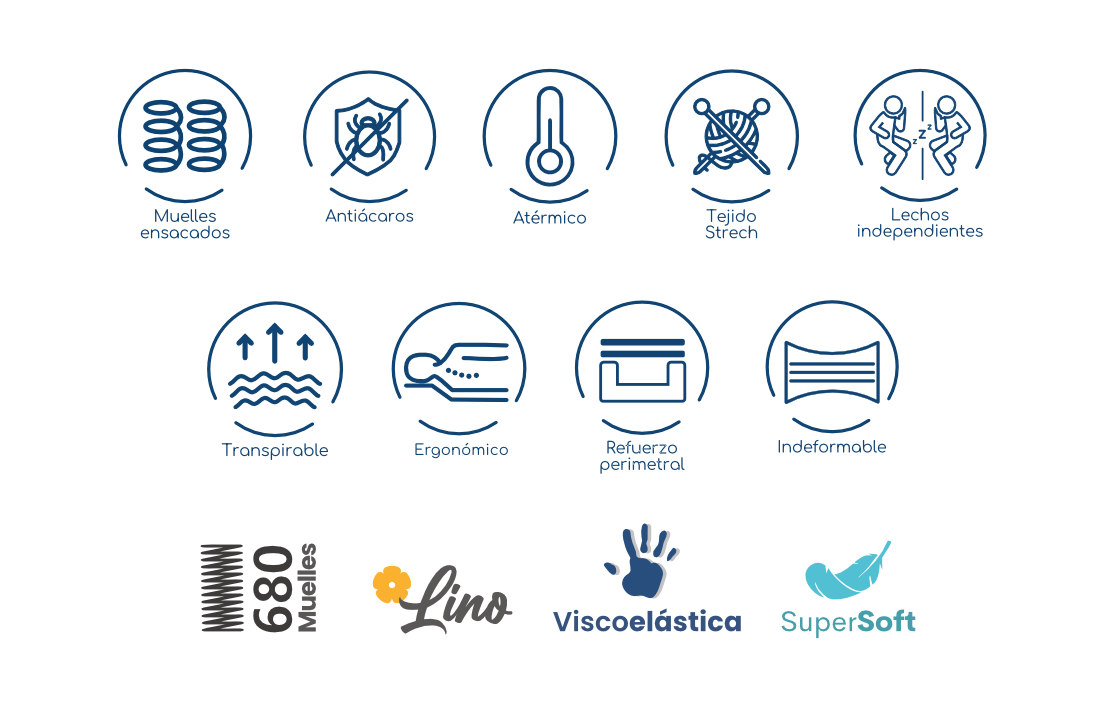 Caracteristicas Charlotte